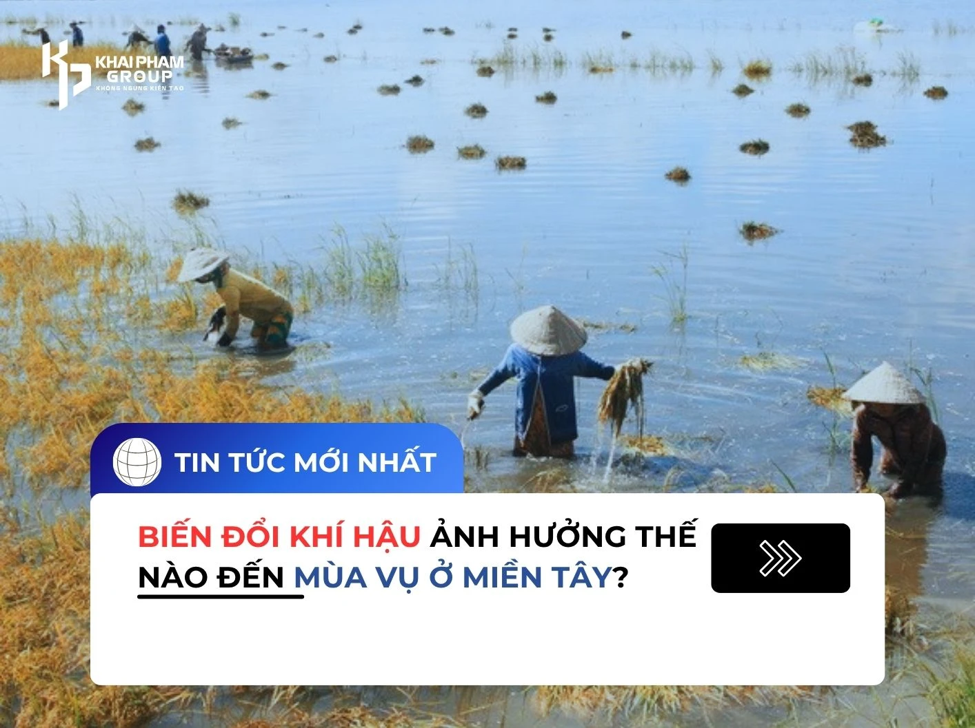 BIẾN ĐỔI KHI HẬU ẢNH HƯỞNG THẾ NÀO ĐẾN MÙA VỤ Ở MIỀN TÂY?