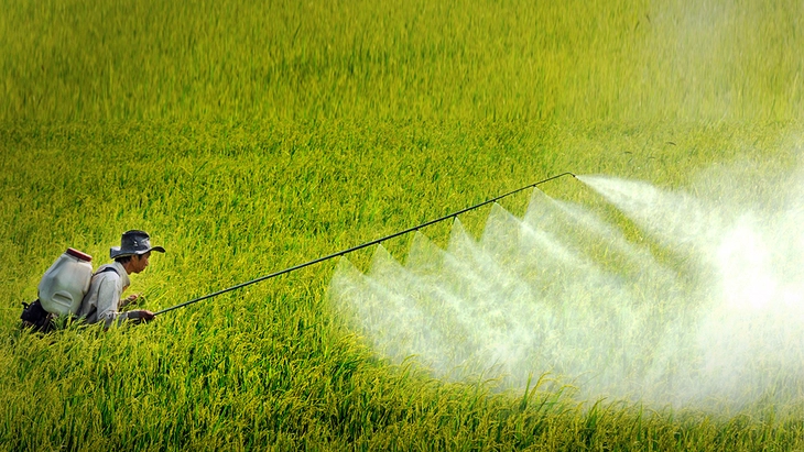 7 THỜI ĐIỂM KHÔNG NÊN PHUN THUỐC BVTV TRÁNH BỊ PHẢN TÁC DỤNG