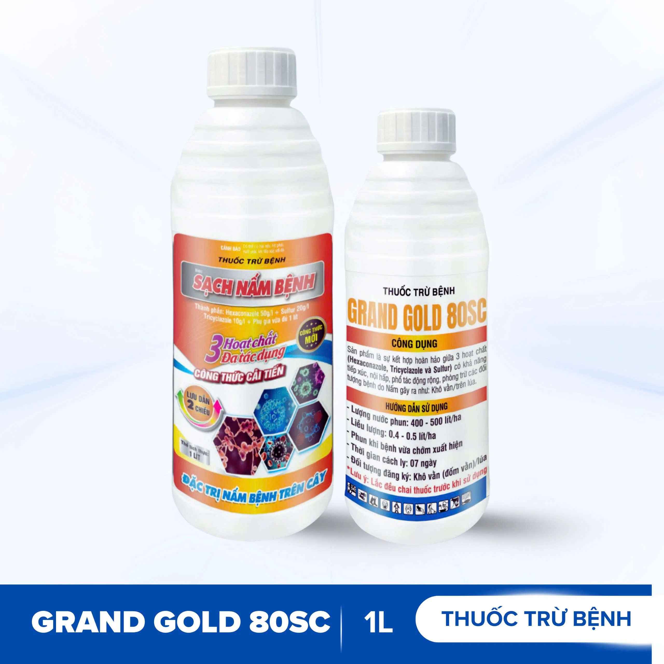 CÂY ĂN TRÁI – MỘT SỐ LOẠI NẤM BỆNH PHỔ BIẾN VÀ CÁCH PHÒNG TRỪ